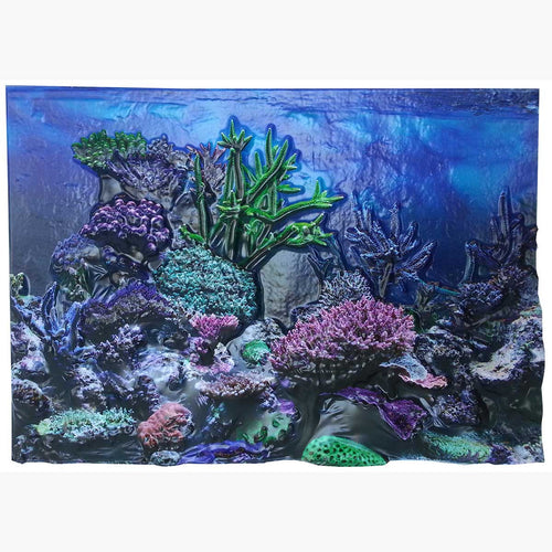 3D Background Coral Reef