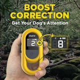 Dogtra CUE E-Collar Remote Dog Training Collar for Dogs Waterproof Rechargeable Vibration Safety Level Lock Boost