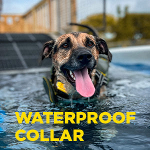 Dogtra CUE E-Collar Remote Dog Training Collar for Dogs Waterproof Rechargeable Vibration Safety Level Lock Boost