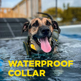 Dogtra CUE E-Collar Remote Dog Training Collar for Dogs Waterproof Rechargeable Vibration Safety Level Lock Boost