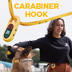 Dogtra CUE E-Collar Remote Dog Training Collar for Dogs Waterproof Rechargeable Vibration Safety Level Lock Boost
