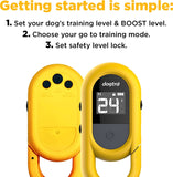 Dogtra CUE E-Collar Remote Dog Training Collar for Dogs Waterproof Rechargeable Vibration Safety Level Lock Boost