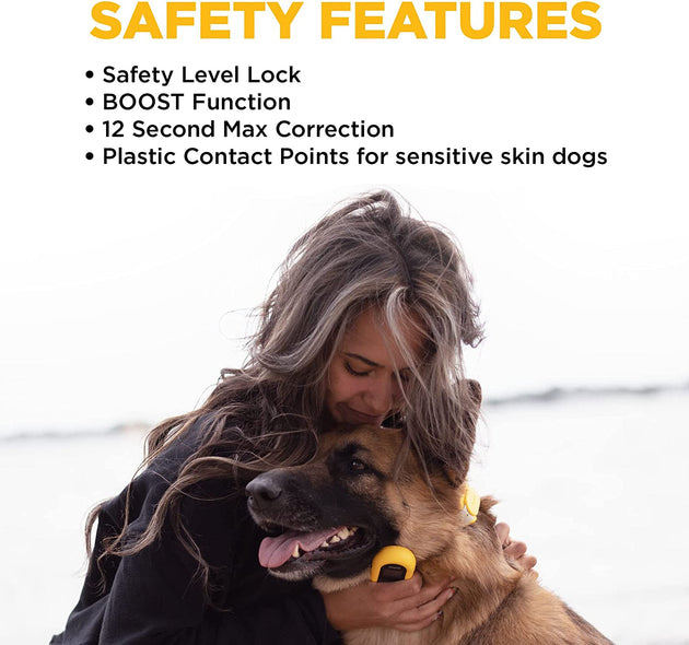 Dogtra CUE E-Collar Remote Dog Training Collar for Dogs Waterproof Rechargeable Vibration Safety Level Lock Boost