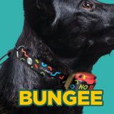 Dogtra Tom Davis 280C Boost and Lock Remote Dog Training E-Collar, Bungee, Waterproof, 127-Level 1/2-Mile Range