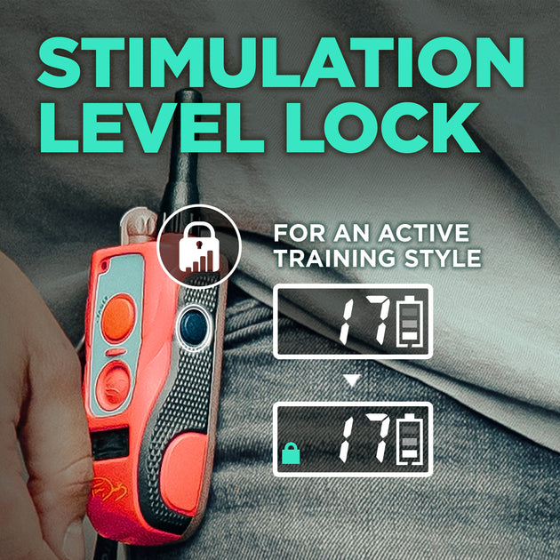 Dogtra Tom Davis 280C Boost and Lock Remote Dog Training E-Collar, Bungee, Waterproof, 127-Level 1/2-Mile Range