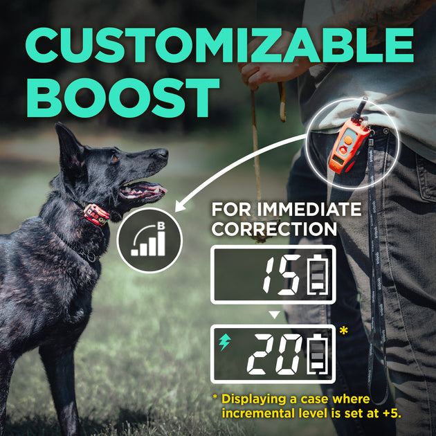 Dogtra Tom Davis 280C Boost and Lock Remote Dog Training E-Collar, Bungee, Waterproof, 127-Level 1/2-Mile Range