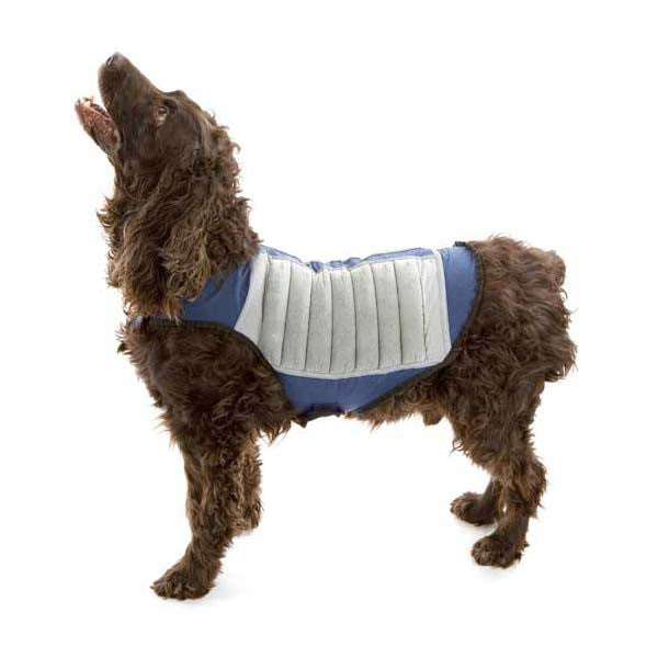 Dog Cooling Jacket