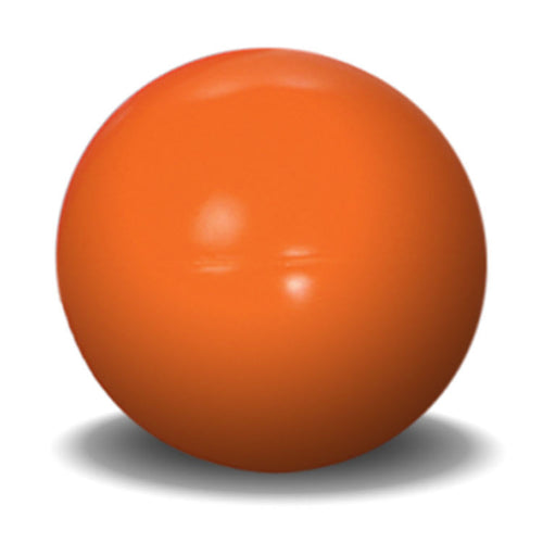 Virtually Indestructible Ball 10 inches