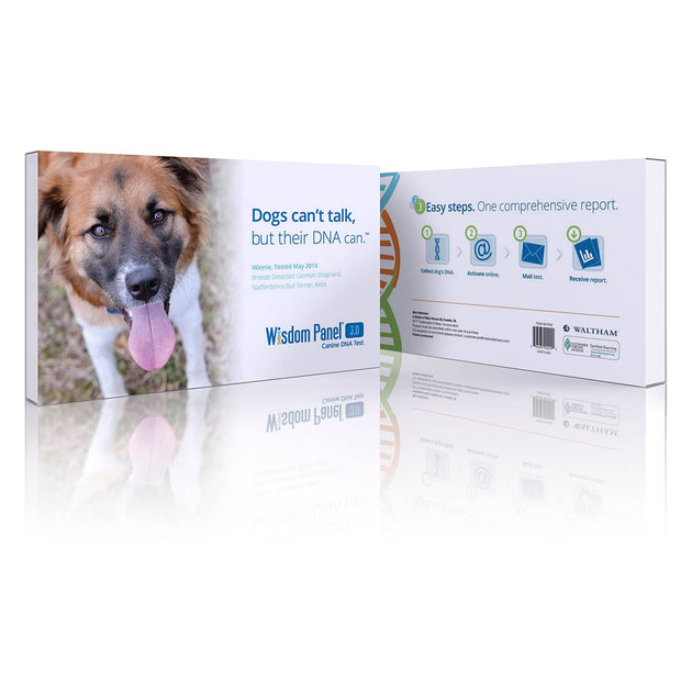 Dna Kit Wisdom Panel Coupon Wisdom Panel Best Dog Dna Test Kit