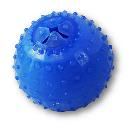 Arctic Freeze Ball Dog Toy