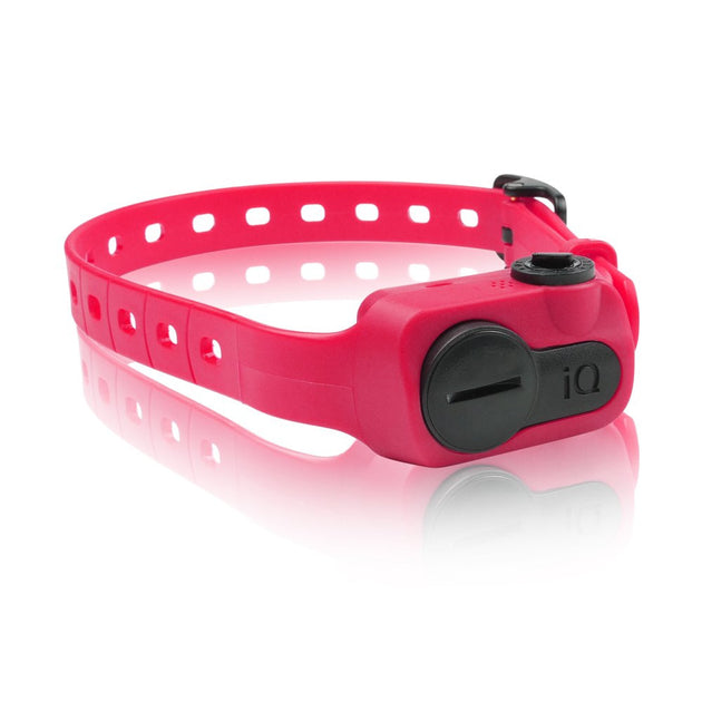 iQ No Bark Collar – Pet Brands Express