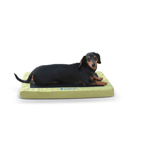 Comfy n' Dry Indoor-Outdoor Pet Bed