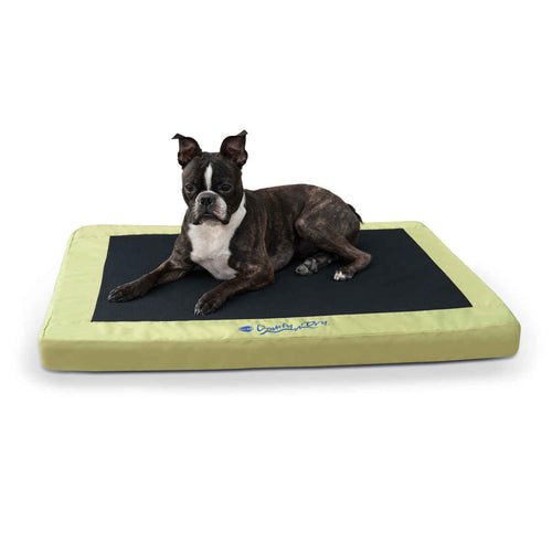 Comfy n' Dry Indoor-Outdoor Pet Bed