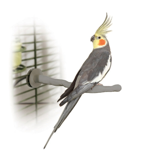 Bird Thermo-Perch