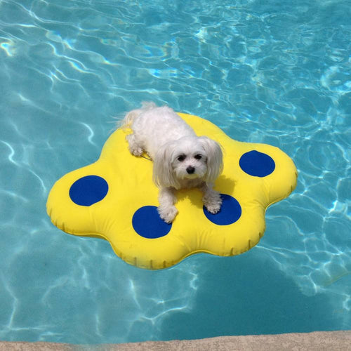 Doggy Lazy Raft