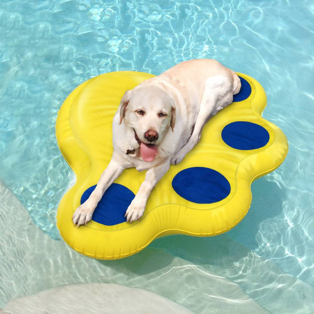 Doggy Lazy Raft
