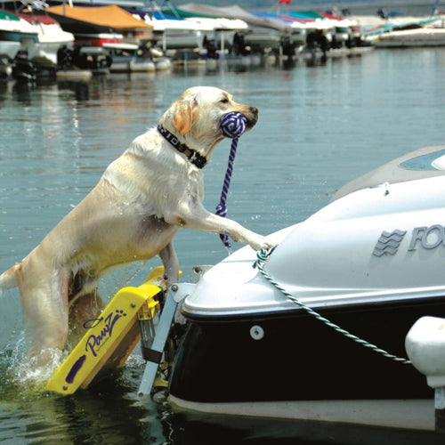 Dog Boat Ladder