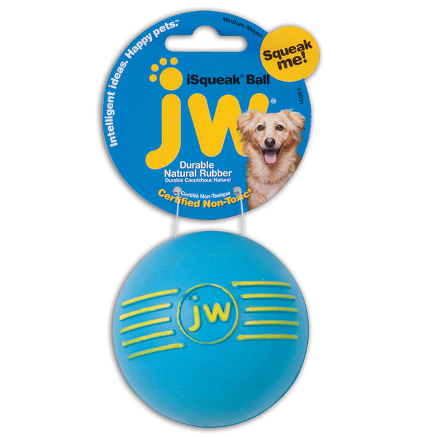 JW Isqueak Ball Dog Toy