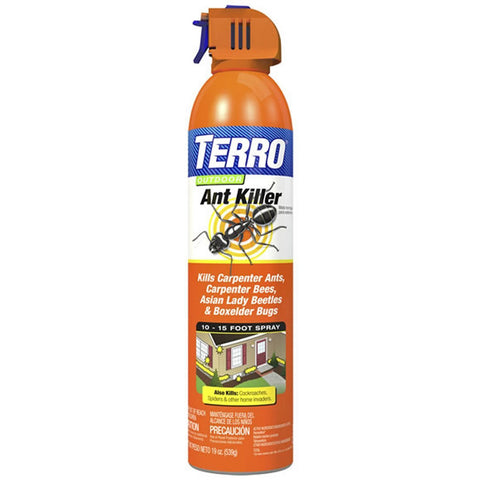 Outdoor Aerosol Ant Killer 19 ounces