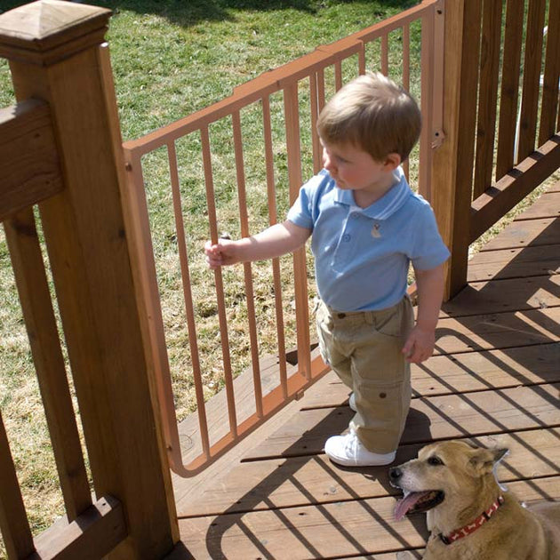 Stairway Special Outdoor Wall Mounted Pet Gate