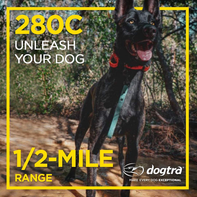 Dogtra 280C Waterproof 127-Level Precise Control LCD Screen ½-Mile Remote Training Dog E-Collar