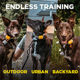 Dogtra CUE E-Collar Remote Dog Training Collar for Dogs Waterproof Rechargeable Vibration Safety Level Lock Boost