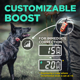 Dogtra Tom Davis 280C Boost and Lock Remote Dog Training E-Collar, Bungee, Waterproof, 127-Level 1/2-Mile Range